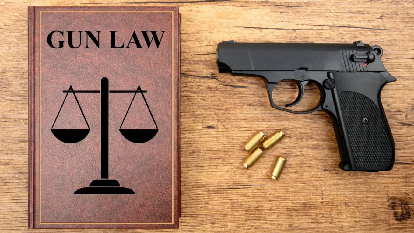 3D Printed Gun Laws