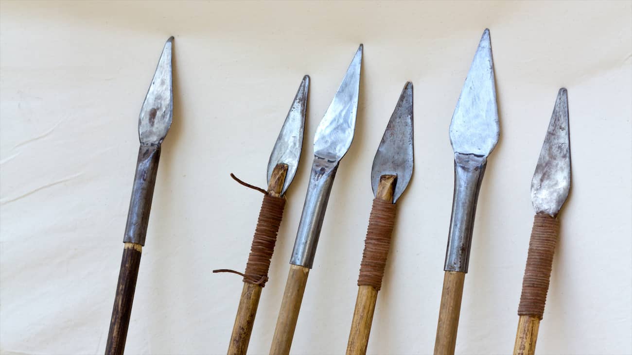 Hunting Spears (5 Best for 2023)
